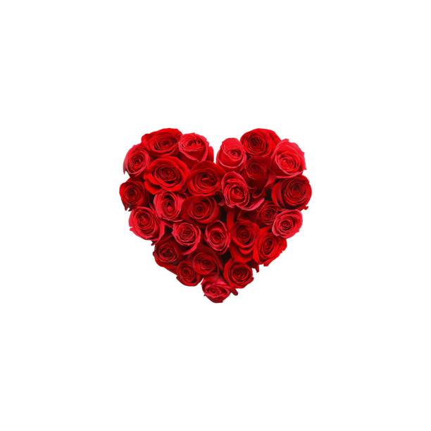 istock Heart icon created with roses on white background. Minimal idea concept. valentine's day concept 1460090971