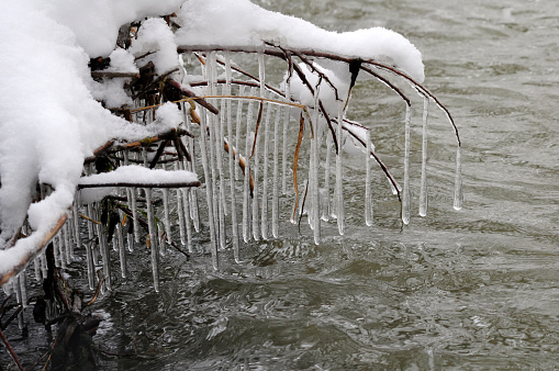 icicles in the river