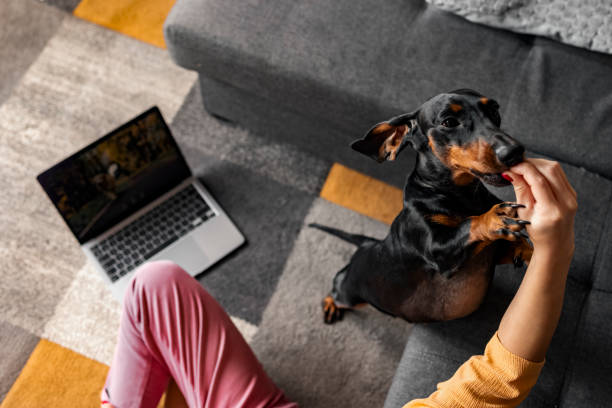 istock Are you finishing soon? 1460101735