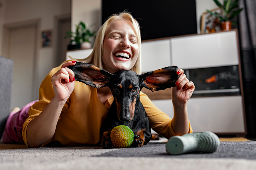 Happy young woman and cute little dog having fun together at home, using toys, playing, living room interior, copy space. Friendly pets concept