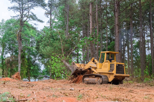 der bauunternehmer verwendete traktor-kompaktlader, um während des bauprozesses bäume vom grundstück zu entfernen, um land für die entwicklung der unterteilung vorzubereiten. - glade stock-fotos und bilder