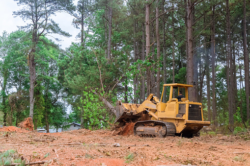 El contratista utilizó minicargadoras tractoras para eliminar árboles de la propiedad durante el proceso de construcción con el fin de preparar la tierra para el desarrollo de la subdivisión. photo