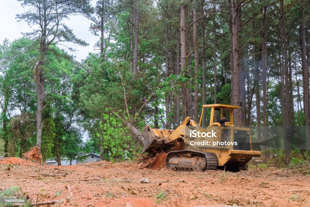 Contractor used tractor skid steers to remove trees from the property during the construction process in order to prepare land for subdivision development. Contractor used tractor skid steers to remove trees from property during construction process in order prepare land for subdivision development. Glade Stock Photo
