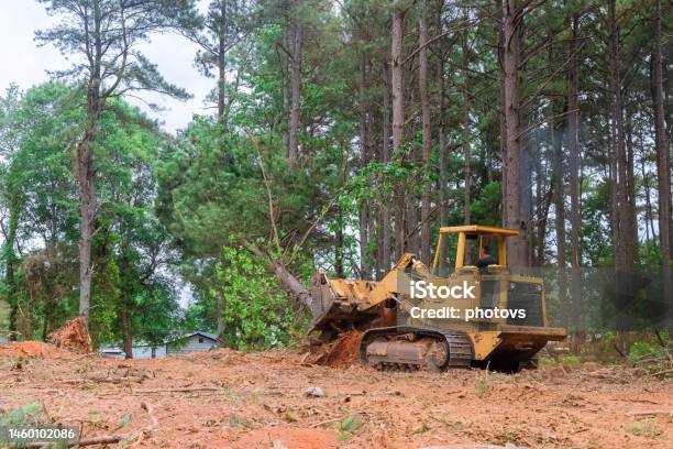 Contractor Used Tractor Skid Steers To Remove Trees From The Property During The Construction Process In Order To Prepare Land For Subdivision Development Stock Photo - Download Image Now