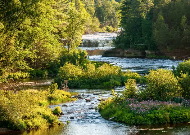 Photo of Lower Tahquamenon Falls Scenic Beauty surrounding River