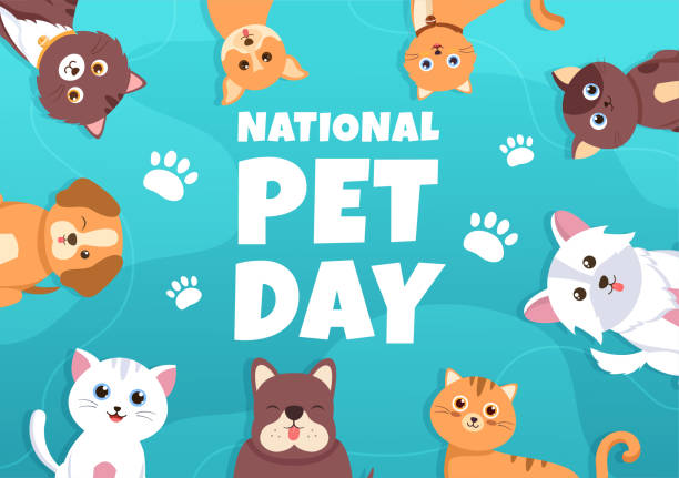 ilustrações, clipart, desenhos animados e ícones de dia nacional do pet em 11 de abril ilustração com animais de estimação bonitos de gatos e cães para web banner ou landing page em flat cartoon hand drawn templates - sign art asia bird