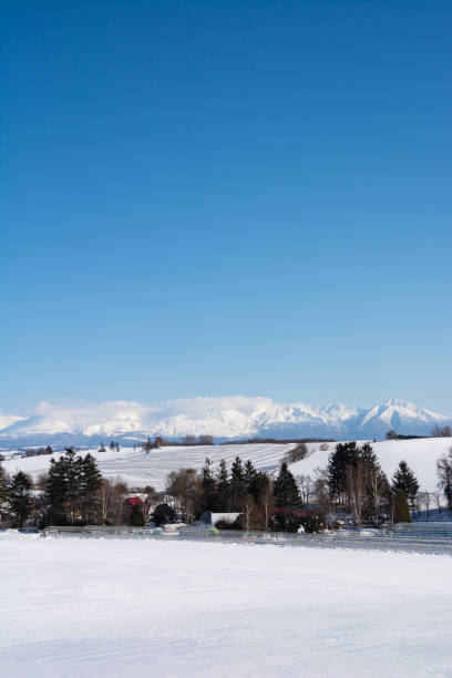istock Fields covered with snow-melting agent  and snowy mountains on a sunny winter day 1460116610