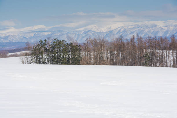 istock Thickets and mountains on a sunny winter day 1460117285