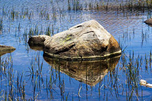 Rock Sticking Out Of Pond With Reflection And Green Reeds Yosemite National Park California