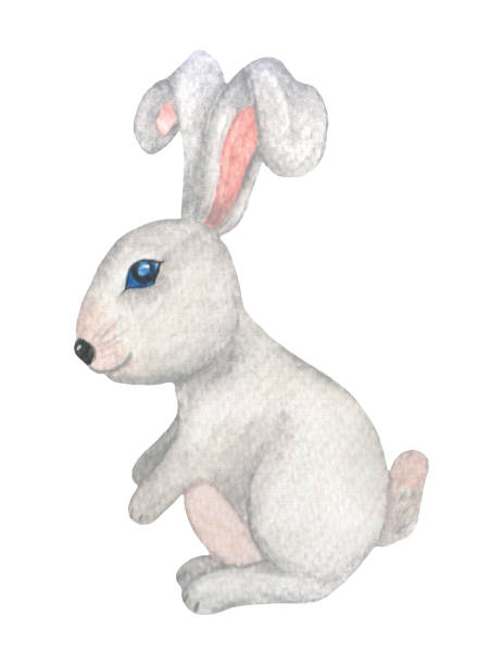 40+ Bunny Blue Eyes Stock Illustrations, Royalty-Free Vector Graphics &  Clip Art - iStock