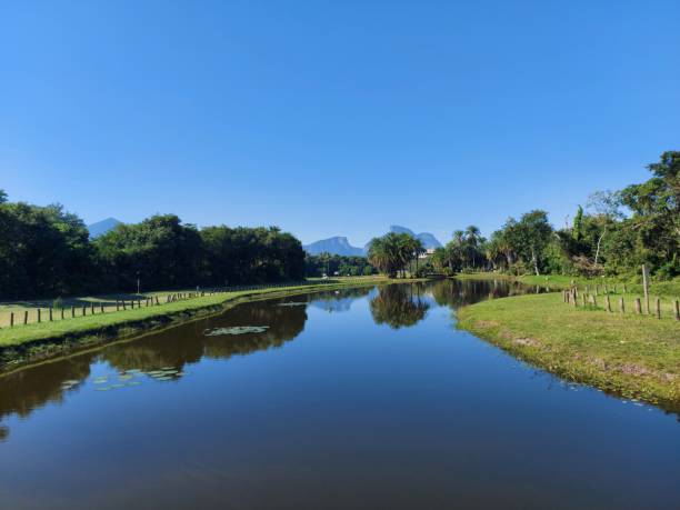 istock Sunny day in the park with a blue sky 1460119823