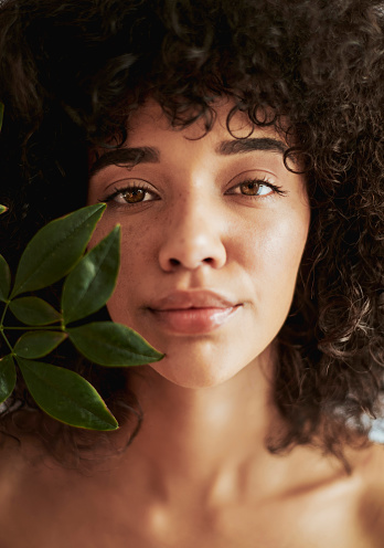 Black woman, skincare portrait and leaf plant for natural skin with organic dermatology, cosmetics or detox. Face of a beauty model in studio for glow, hair and self care facial cosmetic mockup