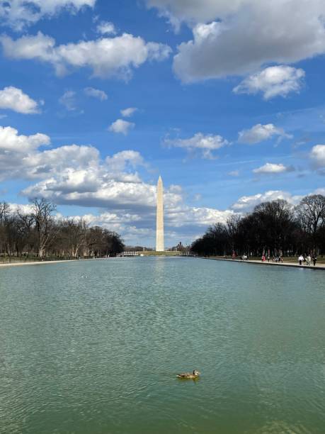istock Washington Monument with water and duck 1460131283