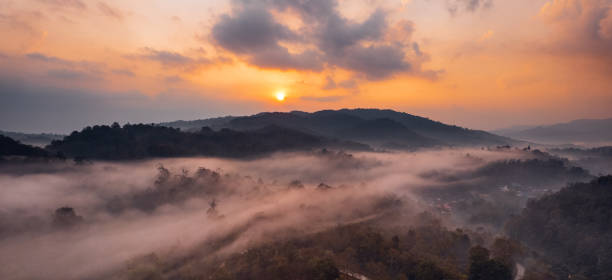 istock Forest and fog in the morning, high angle view 1460133735
