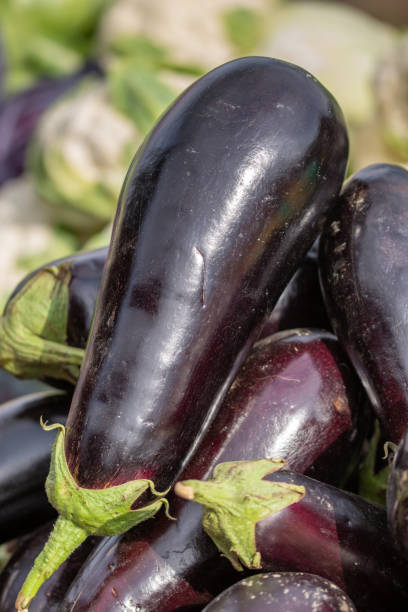 istock eggplant at market  in Romania 1460137070