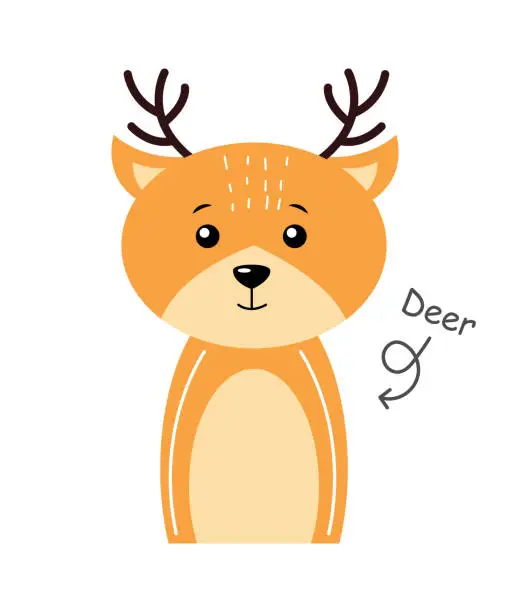 Vector illustration of Deer . Cartoon character . Vector .