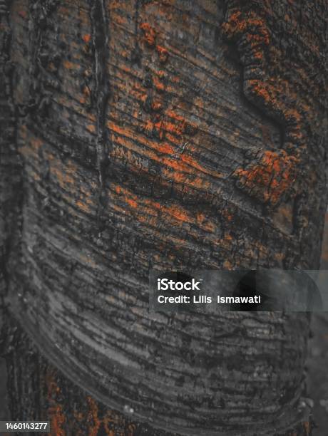 Textured Wood Grain For Text Background Stock Photo - Download Image Now - Black Color, Wood Grain, Abstract