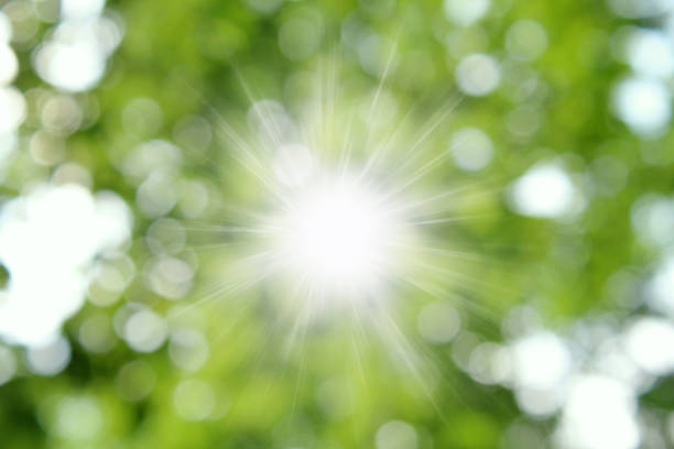 Sunlight and natural green bokeh