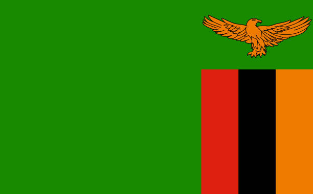 Zambia national flag  vector Illustration material Zambia national flag  vector Illustration material zambia flag stock illustrations