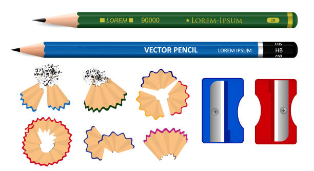 набор реалистичных деревянных карандашей, окрашенных изолированно на белый. eps вектор - ruler ballpoint pen pen isolated stock illustrations