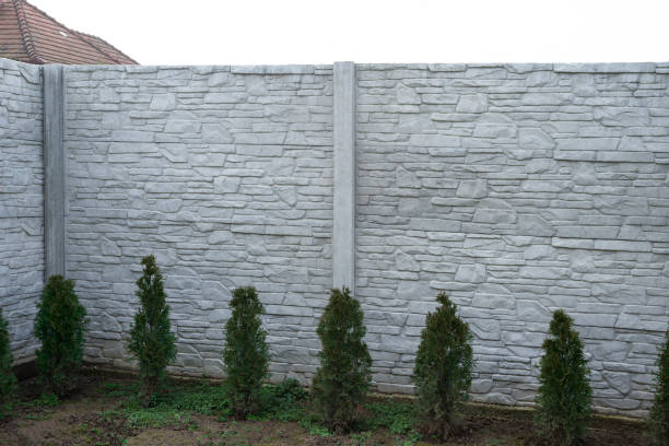 istock Concrete decorative fence with small green thuja 1460173166