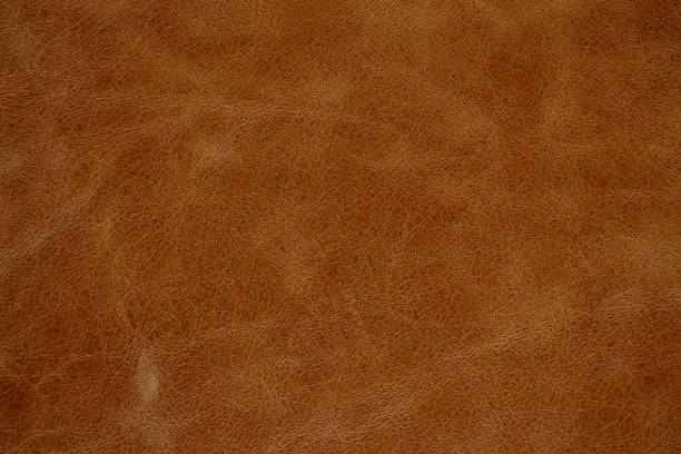 istock dark brown genuine leather as a closeup background, 1460180660