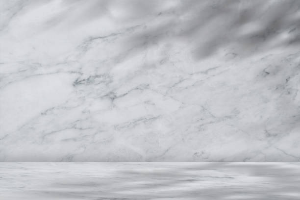 istock Marble texture abstract background with shadow leaves overlay,White and Grey nature granite wall surface good for floor ceramic counter or interior decoration.Backdrop Background for luxury design 1460183280