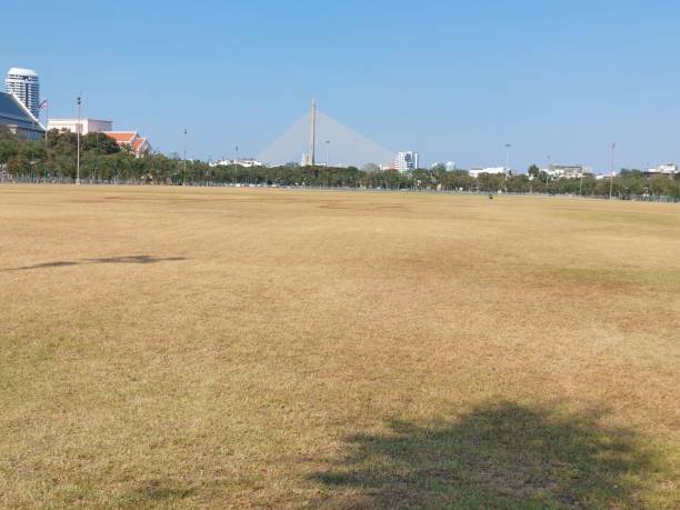 publiczny plac przed wat phra kaew i wielkim pałacem, bangkok, tajlandia - sanam luang park zdjęcia i obrazy z banku zdjęć