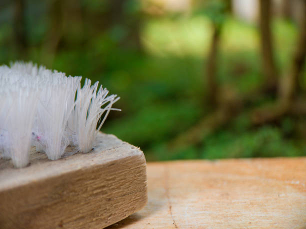 Facing up old wooden clothes hand brush isolated from background, outdoor in day