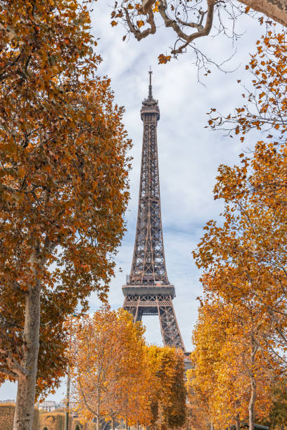 istock Eiffel Tower surrounded by colored leaves on a day of Autumn 1460185966