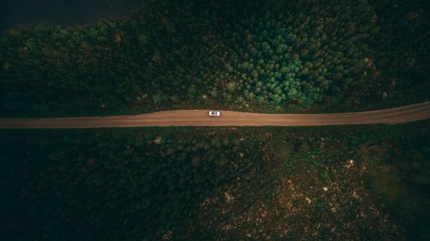 istock Aerial shot of a path among trees in sweden 1460186973