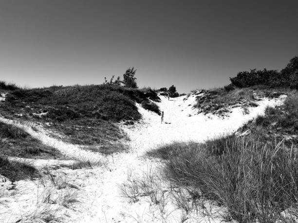 istock Grayscale of a snow-covered path amid the raw dry fields under the cloudless sky 1460188640