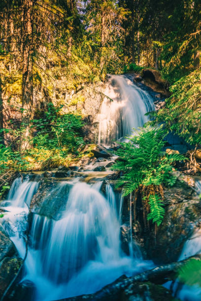 istock Beautiful view of a waterfall in a deep forest 1460188937