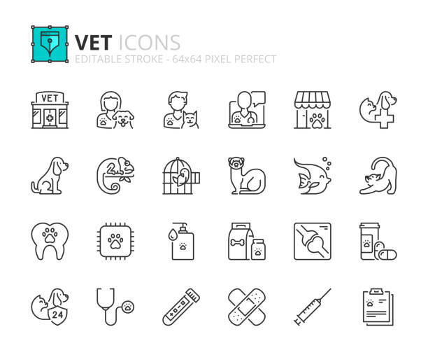 ilustraciones, imágenes clip art, dibujos animados e iconos de stock de conjunto simple de iconos de contorno sobre vet - clínica veterinaria