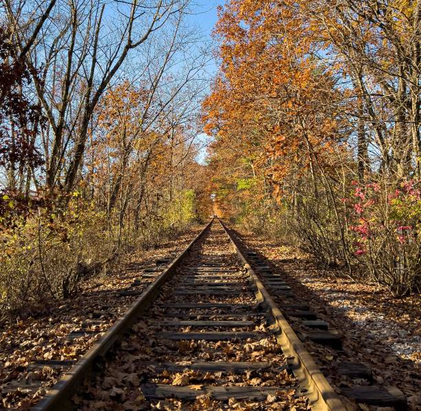 istock Empty railroad surrounded by autumn trees and bushes 1460190916