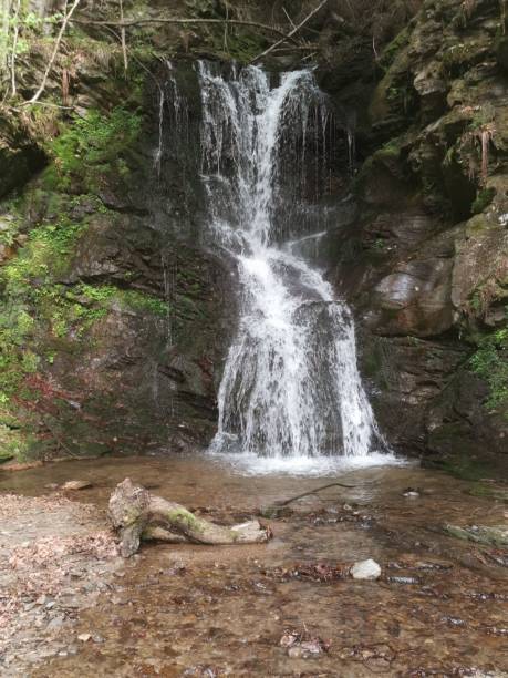 istock Vertical shot of a small waterfall flowing down the rocks covered with moss 1460191694