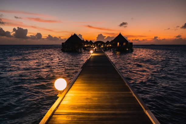 istock Golden sunset over the beach with a boardwalk 1460195196
