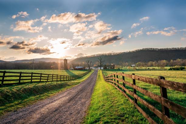 istock Scenic empty alley in a countryside at sunrise 1460195558