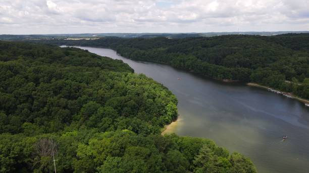 istock Aerial view of a river surrounded by green tree forest 1460196137