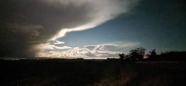 istock Panoramic view of a grass field with trees during dawn, with clouds in the sky 1460196221