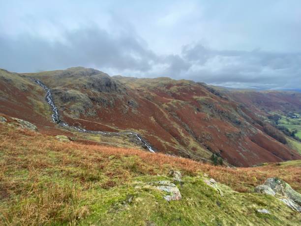 istock Beautiful landscape of green mountains 1460197833