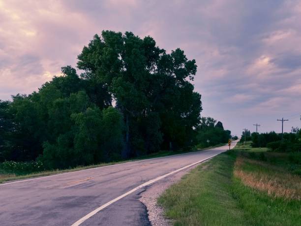 istock Narrow countryside road alongside the fields and green trees under the cloudy sky 1460198630