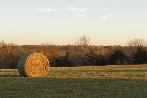 A big round-shaped Hay bale in a harvesting field, cool for background