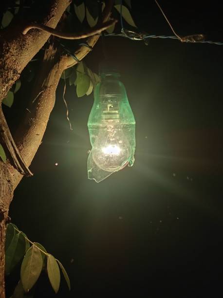 istock Decorative lamp in the garden glowing in the darkness 1460199846