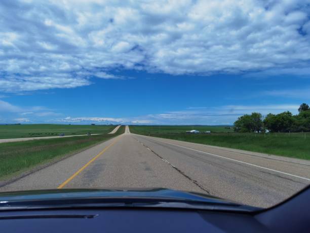 istock Long road passing between beautiful grass fields under the blue sky shot from inside a car 1460200574