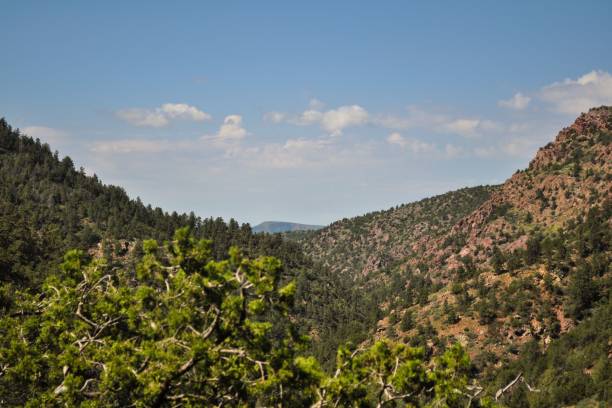 istock Beautiful natural landscape of high hills covered by green pine forests under blue cloudy sky 1460200607