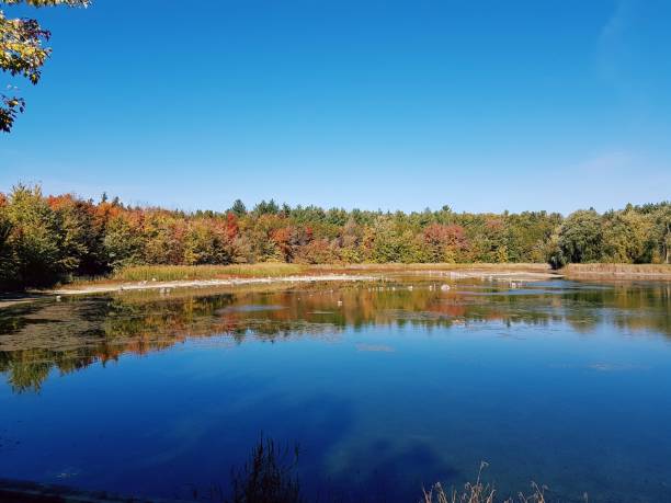 istock Landscape view of the Robert Edmondson Conservation Area 1460200668