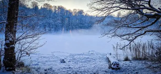 A  panoramic view of beautiful snow-covered trees and a frozen-over lake