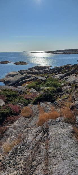 istock Panoramic view of a rocky coast 1460201679