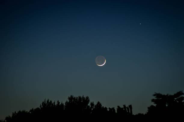 istock Scenic view of a lunar eclipse in the dark blue sky above treetops 1460202146